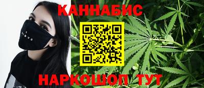 крисы Аргун