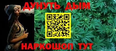 крисы Аргун