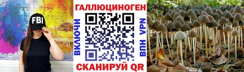 даркнет формула  Белово  Галлюциногенные грибы Cubensis  даркнет сайт 