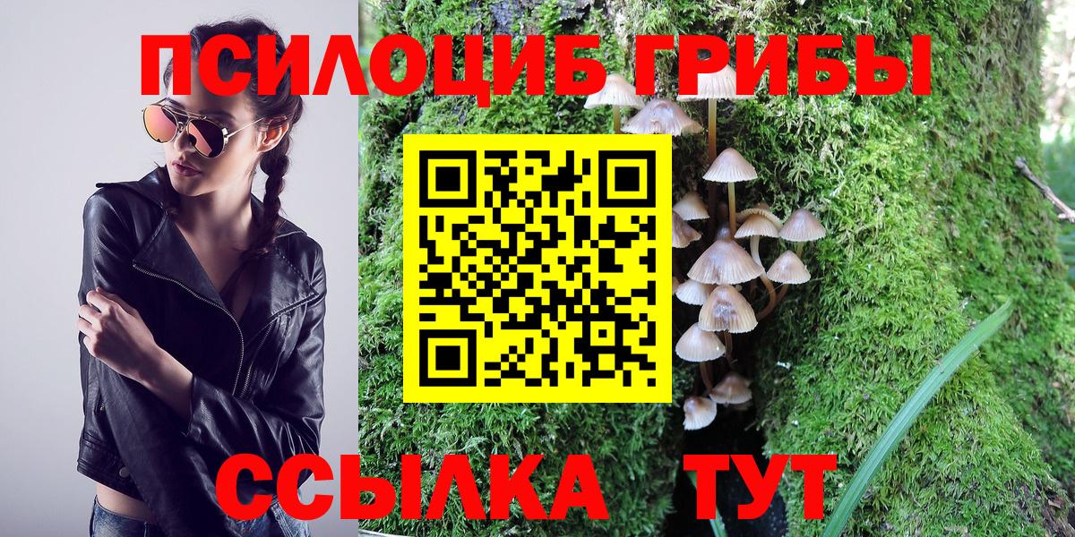 Псилоцибиновые грибы GOLDEN TEACHER Белово