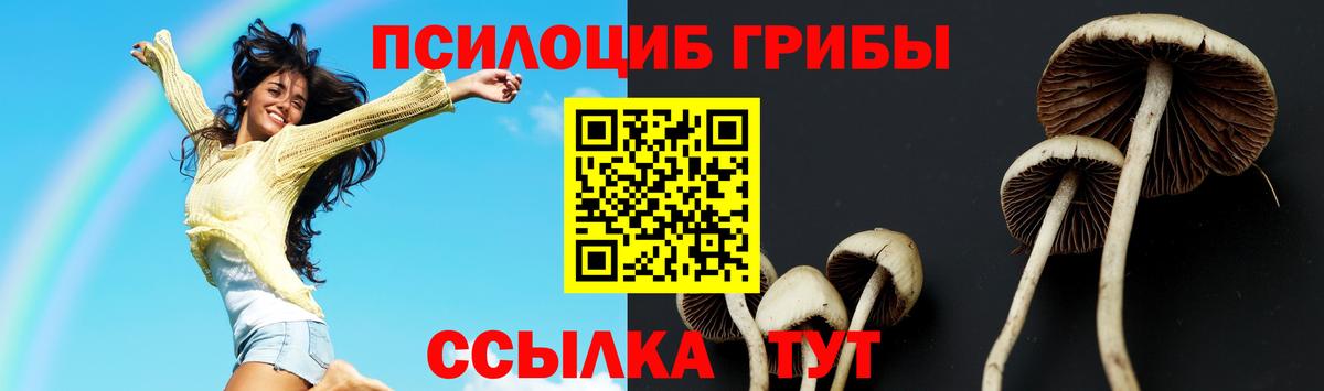 Псилоцибиновые грибы мухоморы  Вход с VPN  Белово 